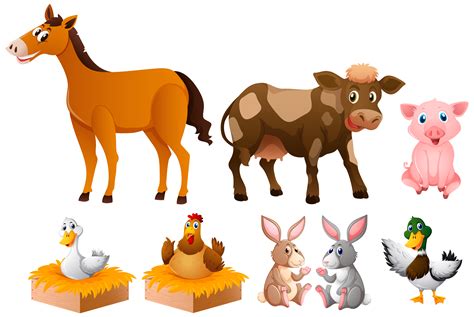 Different Kinds Of Farm Animals Download Free Vectors