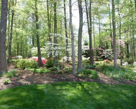 Try To Awesome Your Backyard With Our 25 Woodland Garden Ideas