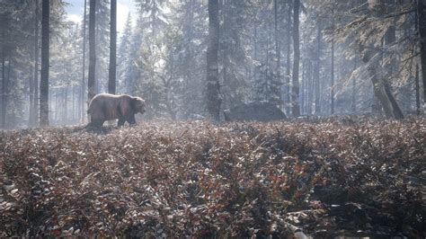 Experience the thrill of the chase with more realism in this vast open world teeming with wildlife. The Hunter Call Of The Wild Wallpapers High Quality ...