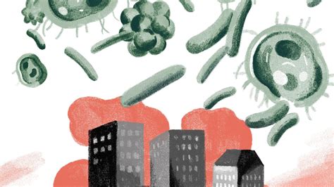 Opinion Fighting Deadly Diseases The New York Times