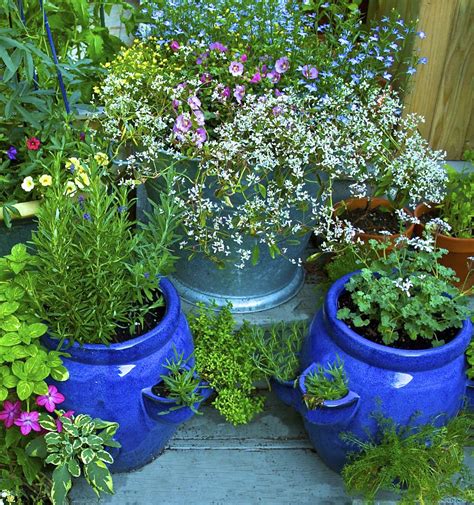 Container Gardening How To Start