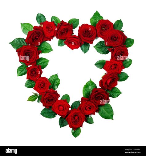 Red Roses Border Frame In Heart Shape Isolated On White Background