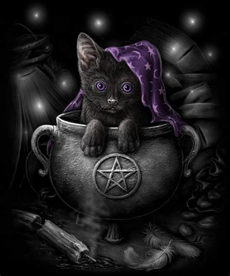 Cute Wicca Pagan Art Иллюстрации кошек Эскизы животных