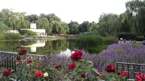 Wake Up Its Spring A Roundup Of Beijings 5 Best Free Parks The