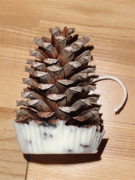 How to make your own gifts. Make Your Own Fire Starters - Mom Prepares