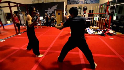 kung fu sparring francis vs caleb kung fu shaolin kung fu sparring