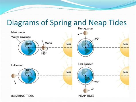 Ppt Tides Powerpoint Presentation Free Download Id2160892