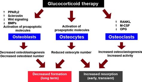 Glucocorticoid Induced Osteoporosis And Cushings Syndrome Oncohema Key