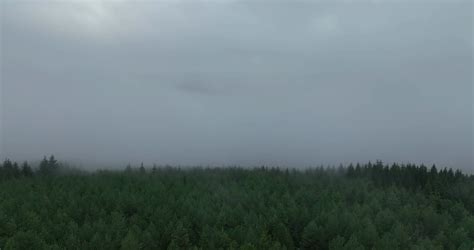 Rainy Weather In Mountains Misty Fog Blowing Stock Footage Sbv