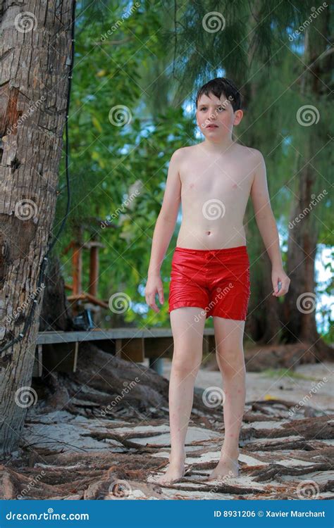 Teenage Boy On Beach Stock Photo Image Of Teen Summer 8931206