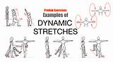 Dynamic Stretching Exercises Pictures