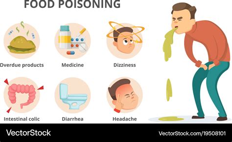 Different Symptoms Of Food Poisoning Infographic Vector Image