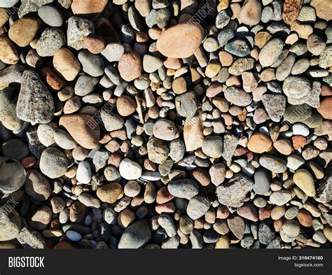 Large Sea Pebbles Image And Photo Free Trial Bigstock