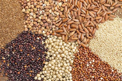 Top 5 Grains Which Are Gluten Free And Healthy