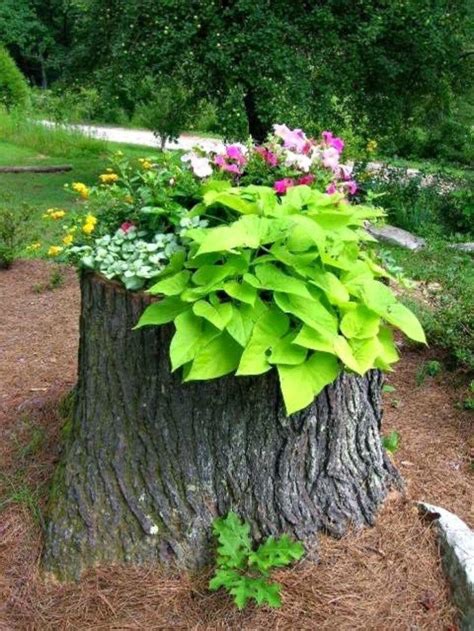 50 Great Ideas Tree Stump For Garden Decoration Tree