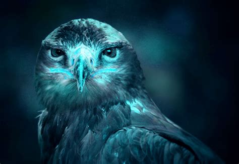 Unduh dan gunakan 20.000+ foto stok burung secara gratis. Download Gambar Wallpaper Hantu - Gudang Wallpaper