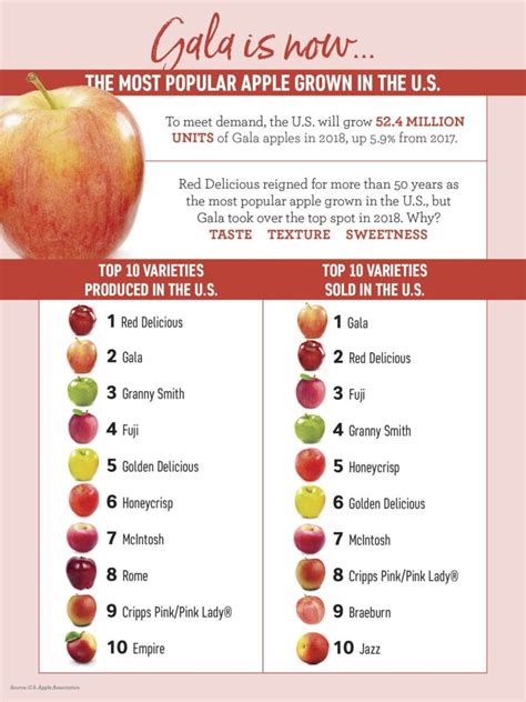 Check and see if your favorite is in this list! How many calories in small apple / carbs and nutrition info