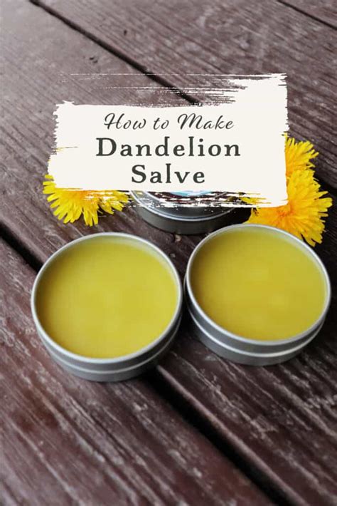Dandelion Salve Homespun Seasonal Living