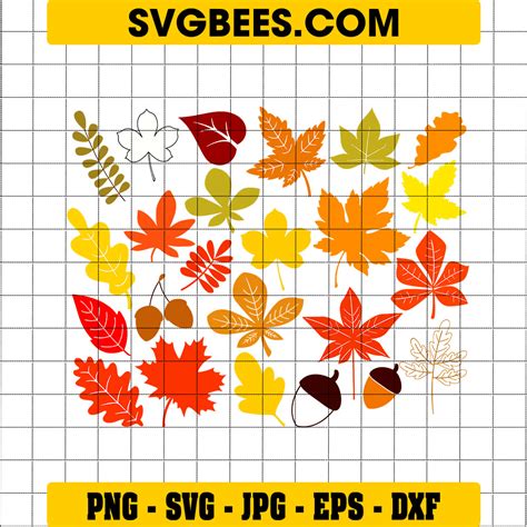 Leaf Flourish Svg Hello Fall Svg Fall Leaves Svg Autumn Leaves Svg