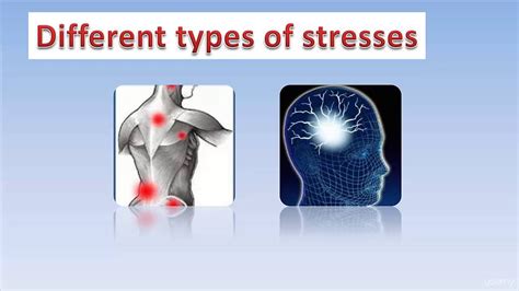02 Different Types Of Stresses Physiological Stresses And