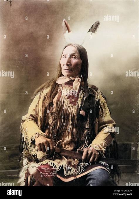 Yellow Hair Sioux Chief Antique And Vintage Photo Native American Indian American