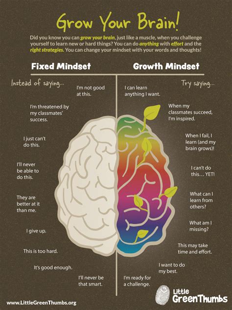 If you found that interesting, i would highly recommend you check out michael pollan's book how to change your mind, which is less focused on history but an equally illuminating (and entertaining) read. Garden Your Mind | Little Green Thumbs