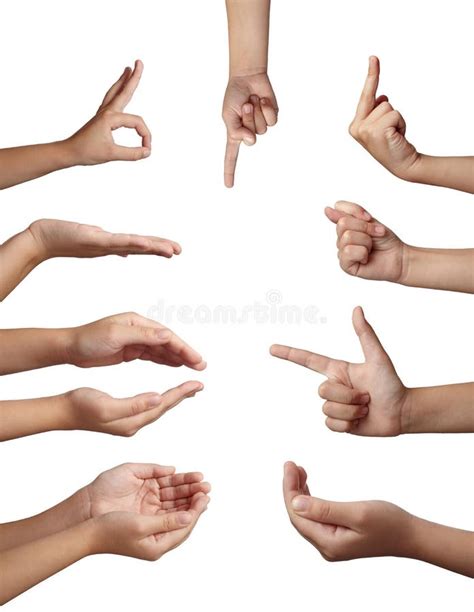 Hand Gesture Body Language Stock Photo Image Of Indicate 11699186
