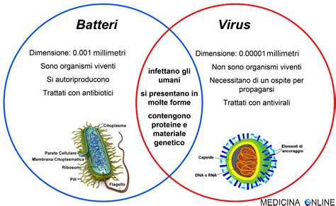 The musician who wrote this song is canadian. Differenza tra virus e batteri: chi è più pericoloso ...