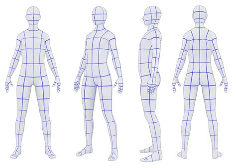 Average Joe Character Turn Sheet Character Model Sheet Character