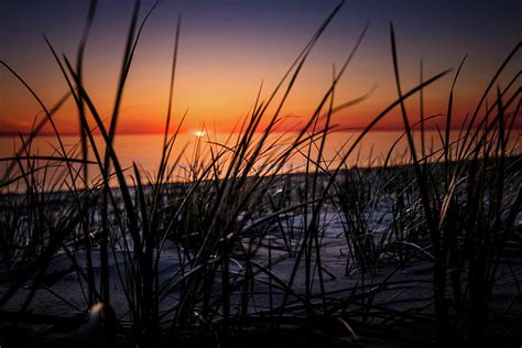 Dune Grass Sunset Henderson Ny Lake Ontario Southwick Beach Sand