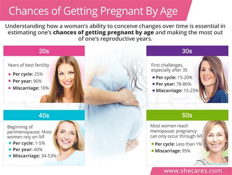 Chances Of Getting Pregnant By Age Shecares