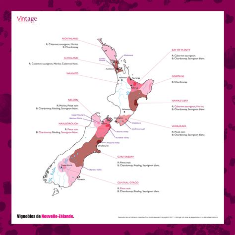 Achat posters carte du monde. Carte des vins | Nouvelle-Zélande. | Vintage