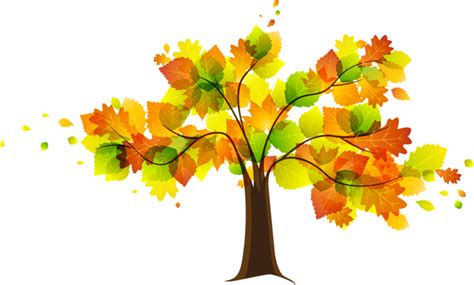 Free Fall Tree Image Library Rr Collections Png Clipartix