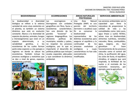 Evidencias De Aprendizaje Cuadro Comparativo De Ecosistemas Images Sexiz Pix