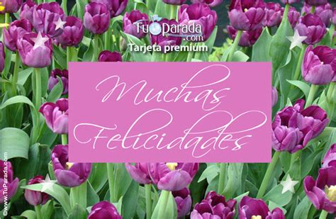 Felicidades Con Tulipanes Lilas Modelos De Flores Tarjeta Digital