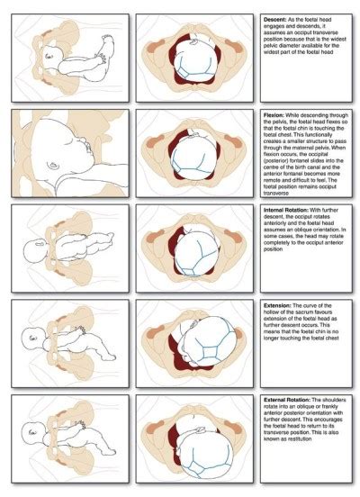 Why The Birthing Position Is Not Ideal For A Healthy Delivery Ony