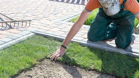 Some Of The Sod Installation Tips For The Perfect Lawn Rcr Music