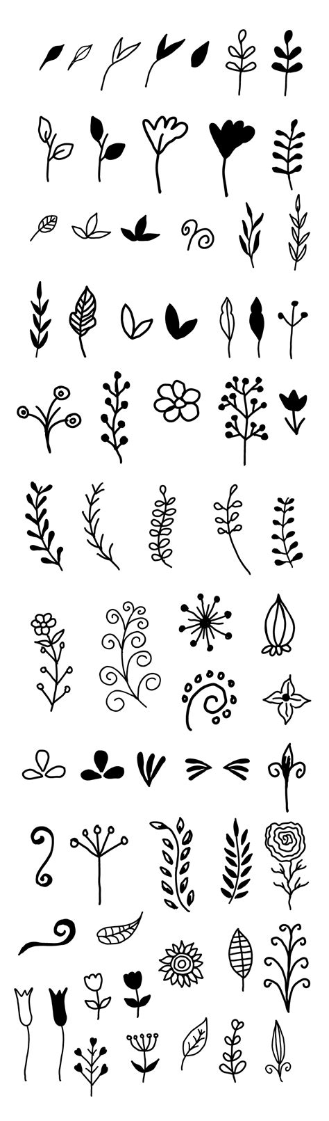 65 Hand Drawn Vector Decorative Floral Elements Graphicsfuel