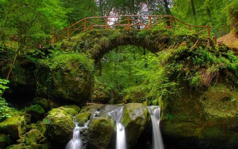 Banco De Imágenes Gratis Paisajes De Nuestra Naturaleza Iii 14 Fotos