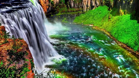 Image Waterfalls Trees Natural Animals Calm Fishes Colorful Nature