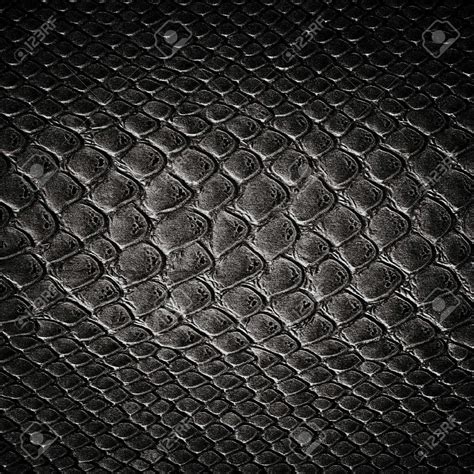 Snake Black Skin Leather Texture Leather Texture Black Skin Texture