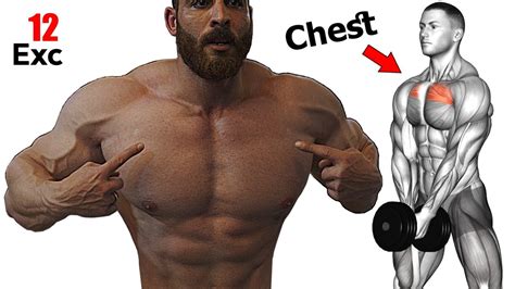 Chest Workout 12 Exercises That Will Make Your Upper Chest Big And