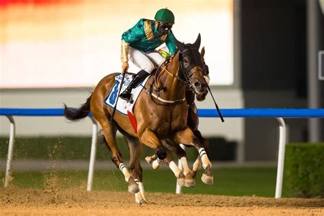 Amusing for the entire circle of relatives.prepare for 2 weeks of uninterrupted entertainment for all. Feature Race Double For Salem Bin Ghadayer - Horse Racing News