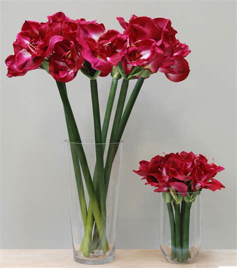 Artificial Beauty Amaryllis Queen And Short Stem Flower Artificial