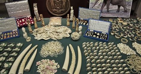 2 Ny Jewelers Plead Guilty To Illegal Ivory Sales