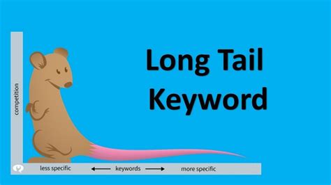 What Are Long Tail Keywords Importance Examples And Advantages
