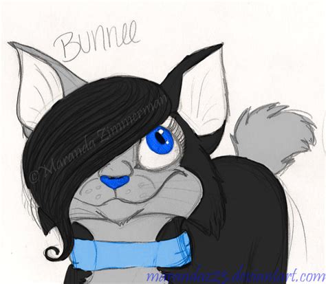 Bunnee The Cat By Coloran On Deviantart