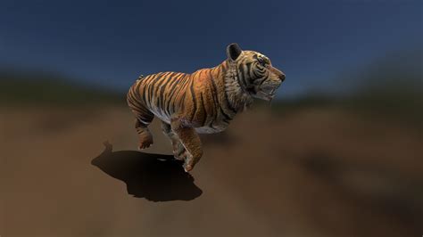 Tiger 3d View Animation Ar Canvas Depot