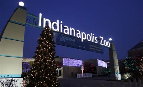 Record Number Of Guests Visit Christmas At The Zoo