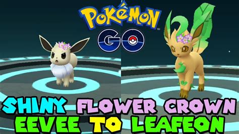 Evolving Shiny Flower Crown Eevee To Shiny Flower Crown Leafeon In